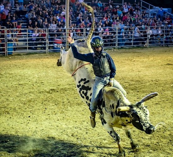 Breaking news:World champion bull riders take over Minot for ‘King of the North’